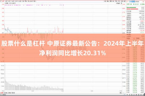 股票什么是杠杆 中原证券最新公告：2024年上半年净利润同比