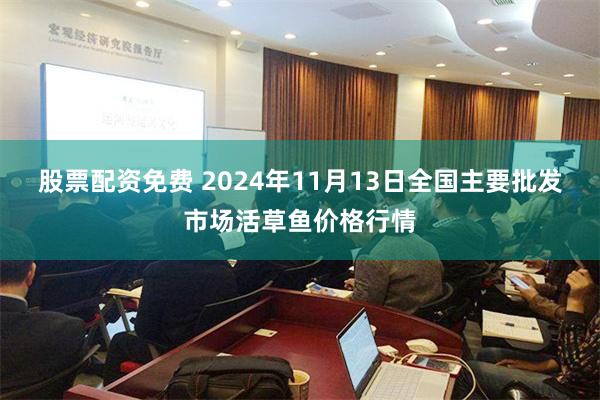 股票配资免费 2024年11月13日全国主要批发市场活草鱼价