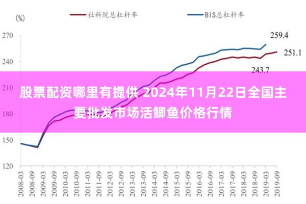 股票配资哪里有提供 2024年11月22日全国主要批发市场活