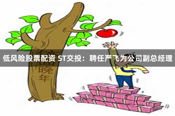 低风险股票配资 ST交投：聘任严飞为公司副总经理